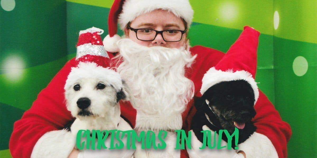 Christmas Card Ideas for Empty Nesters