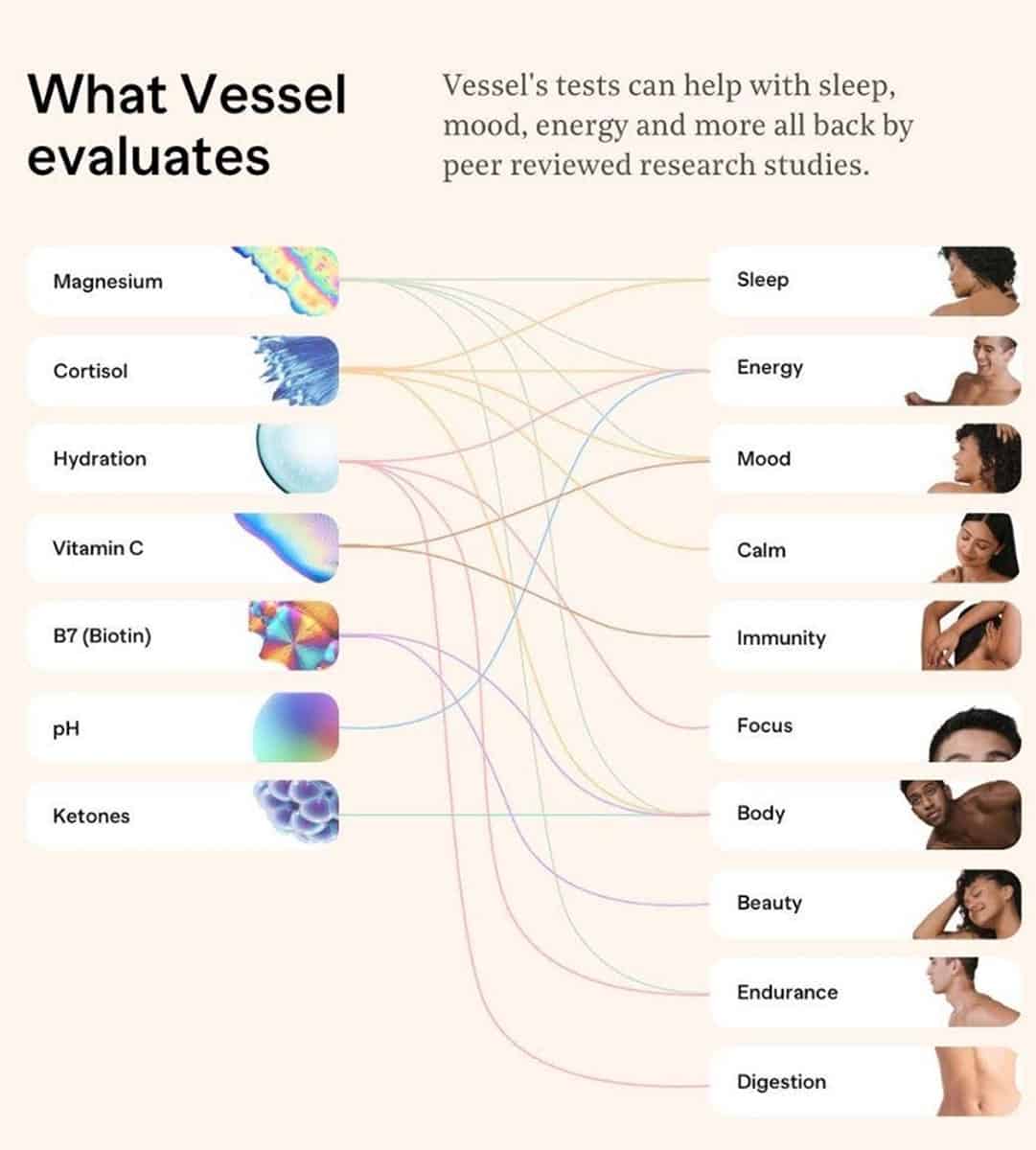 Vessel Health Review A New Home Wellness Tracker Midlife Rambler