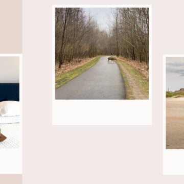 Romanticize Your Life Heading